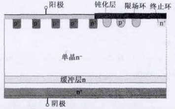 图7 单晶MPS结构示意图