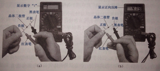 图3 数字万用表判断二极管的极性