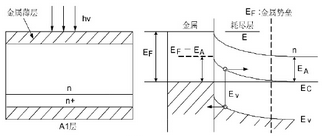 图2 肖特基势垒光电探测器